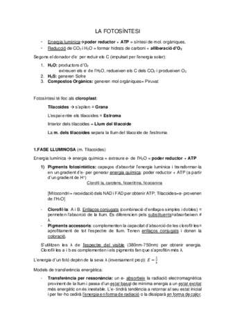 LA-FOTOSINTESI.pdf