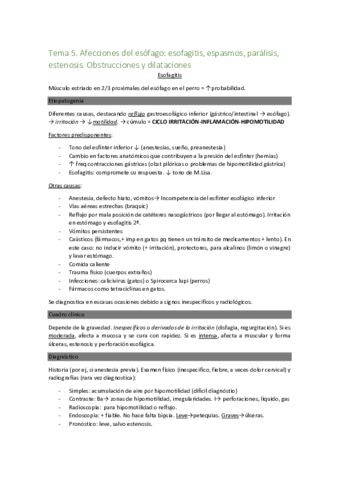 Tema-5.pdf