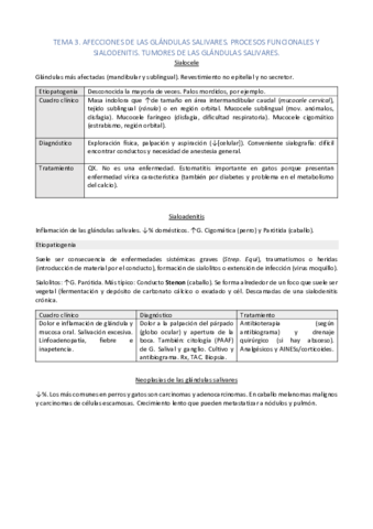 Tema-3-y-4.pdf