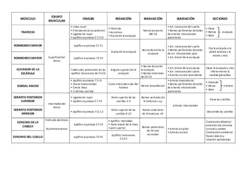 TABLA-MUSCULOS.pdf