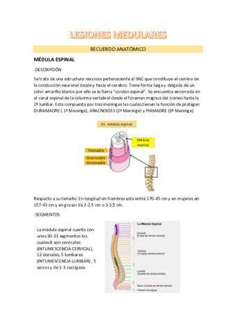 LESIONES-MEDULARES-1B.pdf