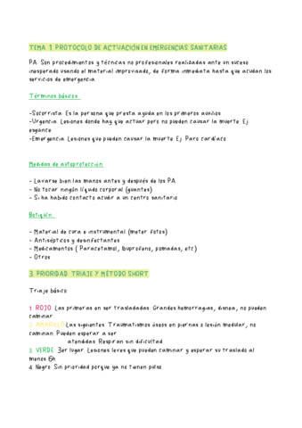 Resumen-PA-t-1.pdf