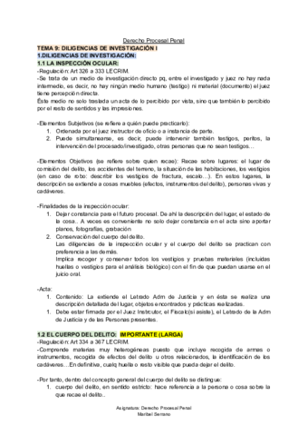 TEMA-9-D-Procesal-Penal.pdf