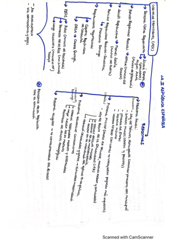 Esquema-Segunda-Republica.pdf