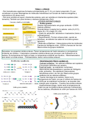 Tema-3-Lipidos.pdf