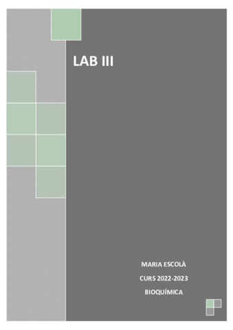 LAB-III.pdf