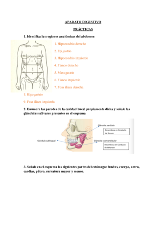 APARATO-DIGESTIVO21.pdf