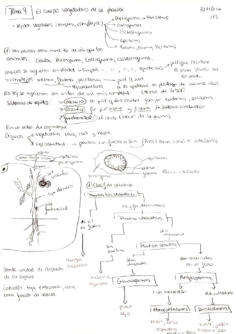 TEMA9 RESUMEN BASES BIO.pdf