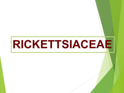 PresentacionTema-9-Parte-VIRickettsiaceae.pdf