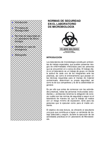 10normasdebioseguridad.pdf