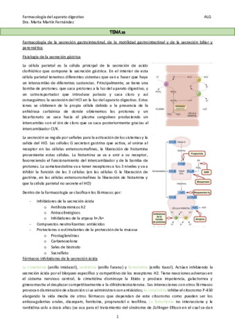 TEMA-22.pdf