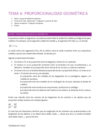 TEMA-6-PROPORCIONALIDAD-GEOMETRICA.pdf