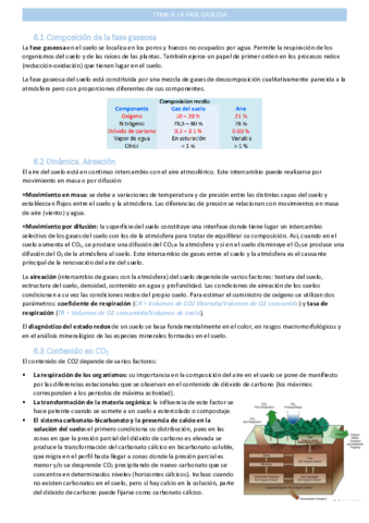fase-gaseosatema-6.pdf