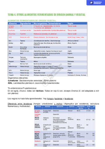 TEMA-4-Otros-productos-Chucrut-aceitunas-embutidos.pdf