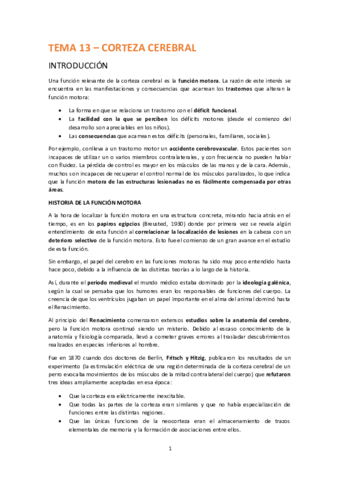 TEMA-13-CORTEZA-CEREBRAL.pdf