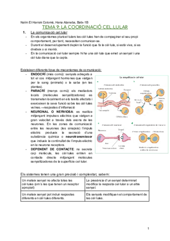 BIOLOGIA-Coordinacio-cel.pdf