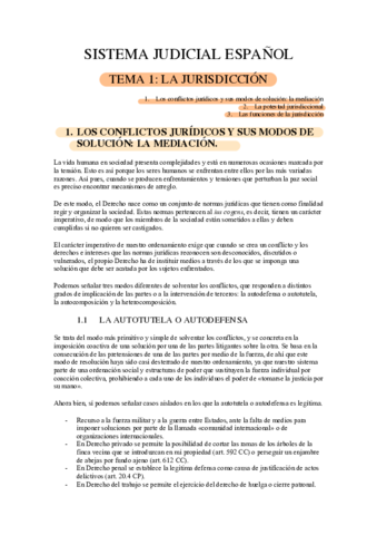 APUNTES-PROCESAL-DEFINITIVOS-ANGELA.pdf