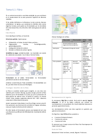 Tema-6.pdf