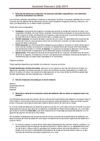 assaiganaprimrecresjulio19.pdf