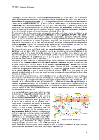 PIT-celiaquia-trabajo-hecho-texto.pdf