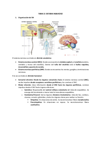 Tema-3-Funcion.pdf