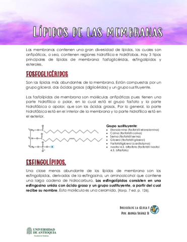 Lipidos-de-las-membranas.pdf