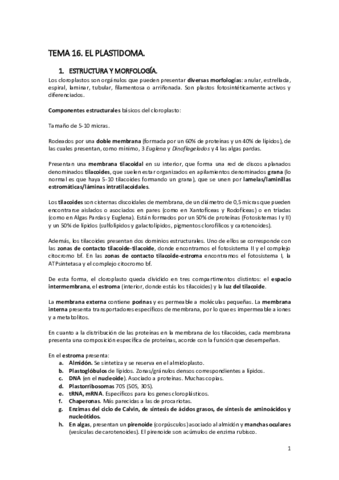 TEMA-16-Plastidoma.pdf