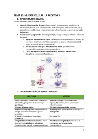 TEMA-23-Muerte-celular.pdf