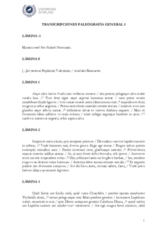 Transcripciones-Laminas-1-a-11.pdf