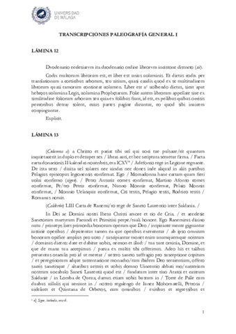 MARIA-Transcripciones-Laminas-12-a-21.pdf