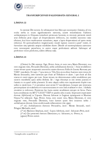 Transcripciones-Laminas-22-a-26-1-1.pdf