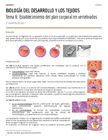 PAR2Tema-6-Establecimiento-del-plan-corporal-en-vertebrados.pdf