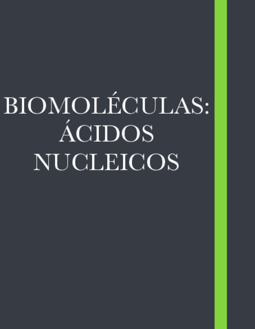 Acidos-nucleicos.pdf
