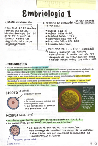 Embriologia-genoves-.pdf