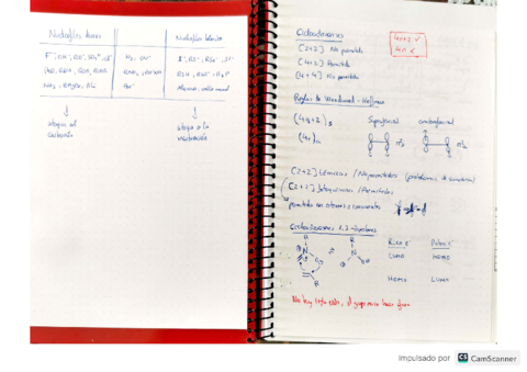 temas-y-apuntes-AQO.pdf