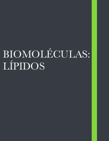 Lipidos.pdf