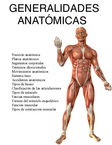 Anatomia-general-medicinanotass.pdf