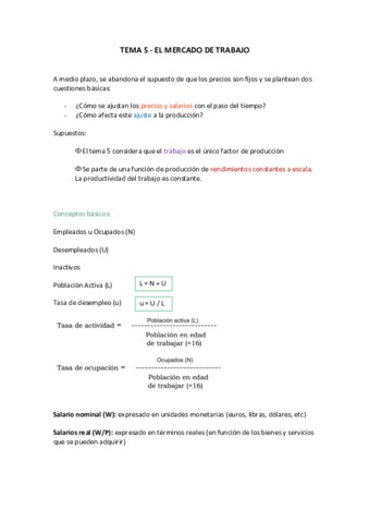 TEMA-5 - mercado de trabajo.pdf