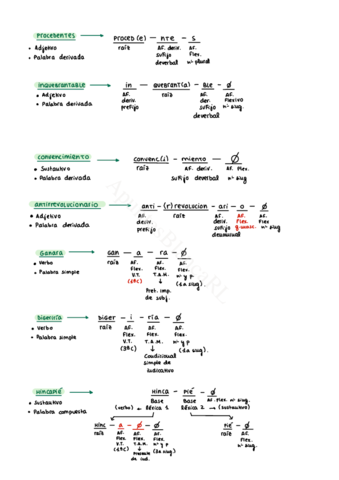 Ejercicios-Corregidos-Morfologia.pdf