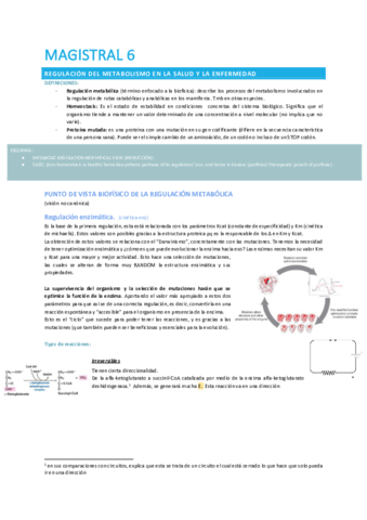 Copia-de-Magistral-6-convertido-comprimido.pdf