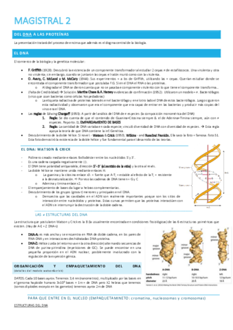 Magistral-2.pdf