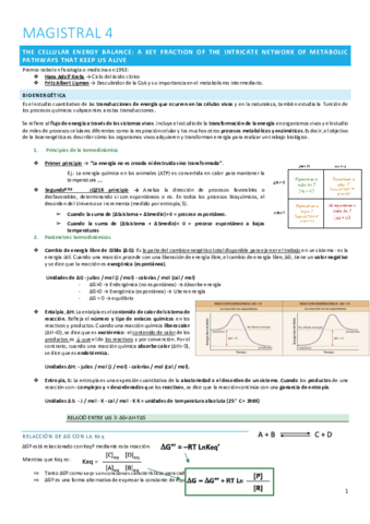 Copia-de-MAGISTRAL-4.pdf