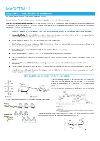 Magistral-1.pdf