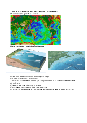 TEMA-2-FISIOGRAFIA-DE-LES-CONQUES-OCEANIQUES-1.pdf