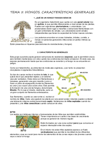 T5IntroduccionHongos.pdf