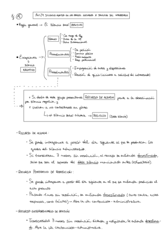 practica-2-administrativo.pdf