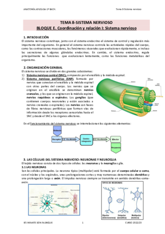 TEMA-08-SISTEMA-NERVIOSO.pdf