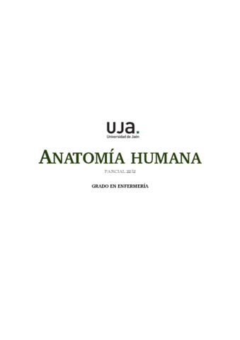 Anatomia-Parcial-Macarena.pdf