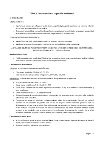 SISTEMAS-DE-GESTION-Y-AUDITORIAS-AMBIENTALES.pdf