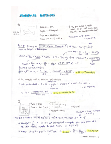 Solucion-Problemas-Biofluidos.pdf